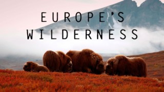 Europas vildmark