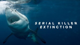 Great White Serial Killer