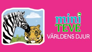 Miniteve: Världens djur