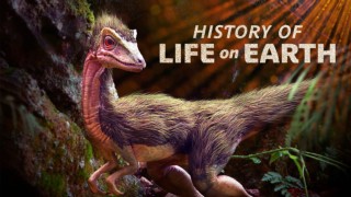 History of Life on Earth