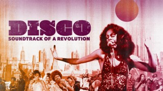 Disco: Soundtrack of a Revolution