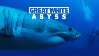 Great White Abyss