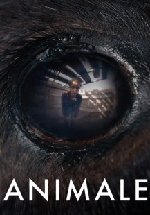 Animale