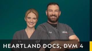 Heartland docs