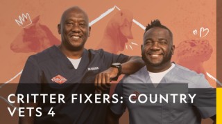 Critter fixers: veterinärerna på landet 4