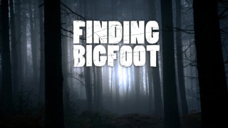 Finding Bigfoot