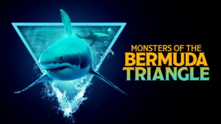 Monsters Of The Bermuda Triangle
