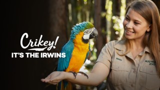 Crikey! It's the Irwins