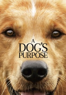 A Dog's Purpose