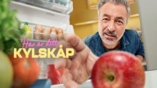 Här är ditt kylskåp