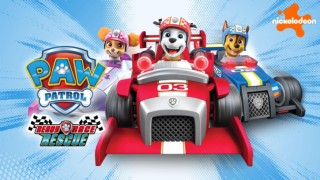 Paw Patrol: Redo, racea, rädda!