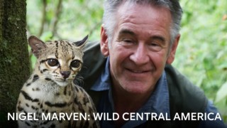Nigel Marven: det vilda Centralamerika