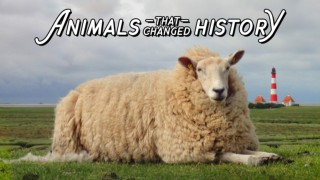 The Animals That Changed History