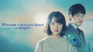 Who Saw the Peacock Dance in the Jungle?