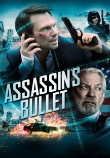 Assassins Bullet