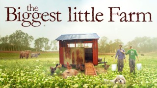 Biggest Little Farm