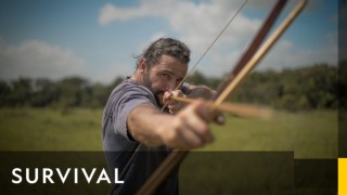 Survival