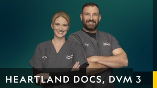 Heartland veterinärerna
