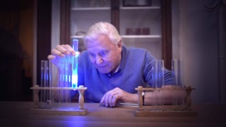 David Attenborough's Light On Earth