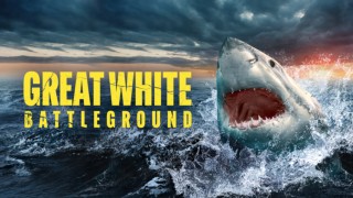 Great White Battleground